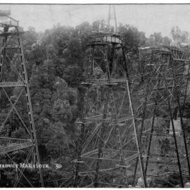 The Viaduct Makatote