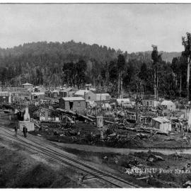 Raurimu foot spiral railway