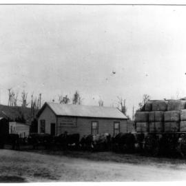 Bullock Team and Dray carrying wool from Te Akau Station
