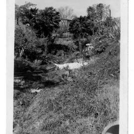 Old brewery site Cook Street Hamilton East