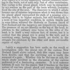Illustrated London News 1899 vol.114 page 150