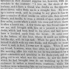Illustrated London News 1893 vol.103 page 90