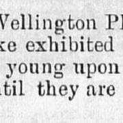 Illustrated London News 1890 vol.97 page 355
