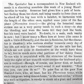 Illustrated London News 1888 vol.93 page 574
