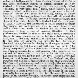 Illustrated London News 1887 vol.90 page 132