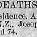 Illustrated London News 1887 vol.90 page 318