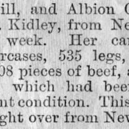Illustrated London News 1884 vol.85 page 322