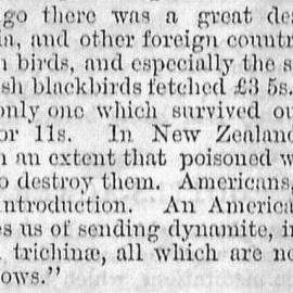 Illustrated London News 1881 vol.79 page 347