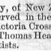 Illustrated London News 1881 vol.79 page 410