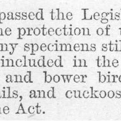 Illustrated London News 1878 vol.72 page 7
