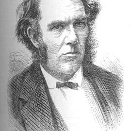 Illustrated London News 1876 vol.68 page 421