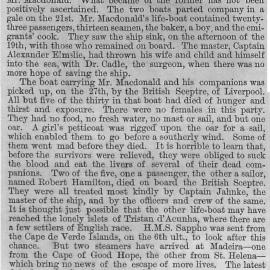 Illustrated London News 1875 vol.66 page 42