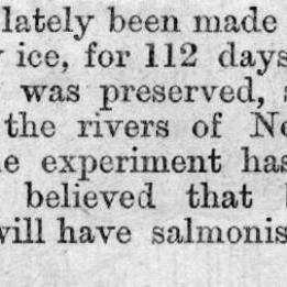 Illustrated London News 1873 vol.62 page 535