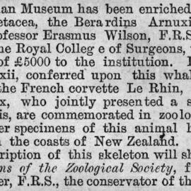 Illustrated London News 1872 vol.60 page 19