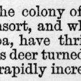 Illustrated London News 1869 vol.55 page 183