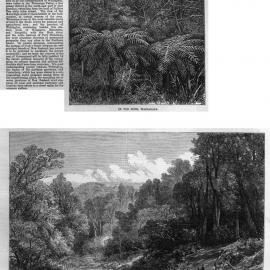 Illustrated London News 1869 vol.55 page 409