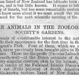 Illustrated London News 1868 vol.53 page 503