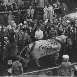 Parade - Mooloo the Bokbuster