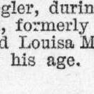 Illustrated London News 1867 vol.50 page 6