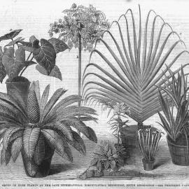 Illustrated London News 1866 vol.48 page 552