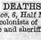 Illustrated London News 1866 vol.48 page 554