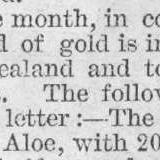 Illustrated London News 1862 vol.41 page 303