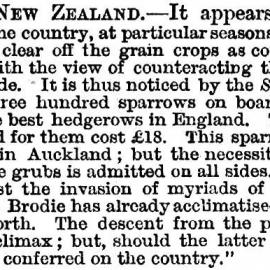Illustrated London News 1859 vol.35 page 172