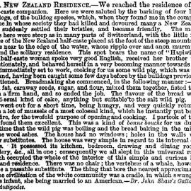 Illustrated London News 1859 vol.35 page 433