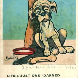 Life's just one 'darned' trouble after another at Hamilton