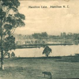 Hamilton Lake, Hamilton