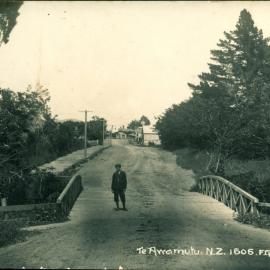 Te Awamutu