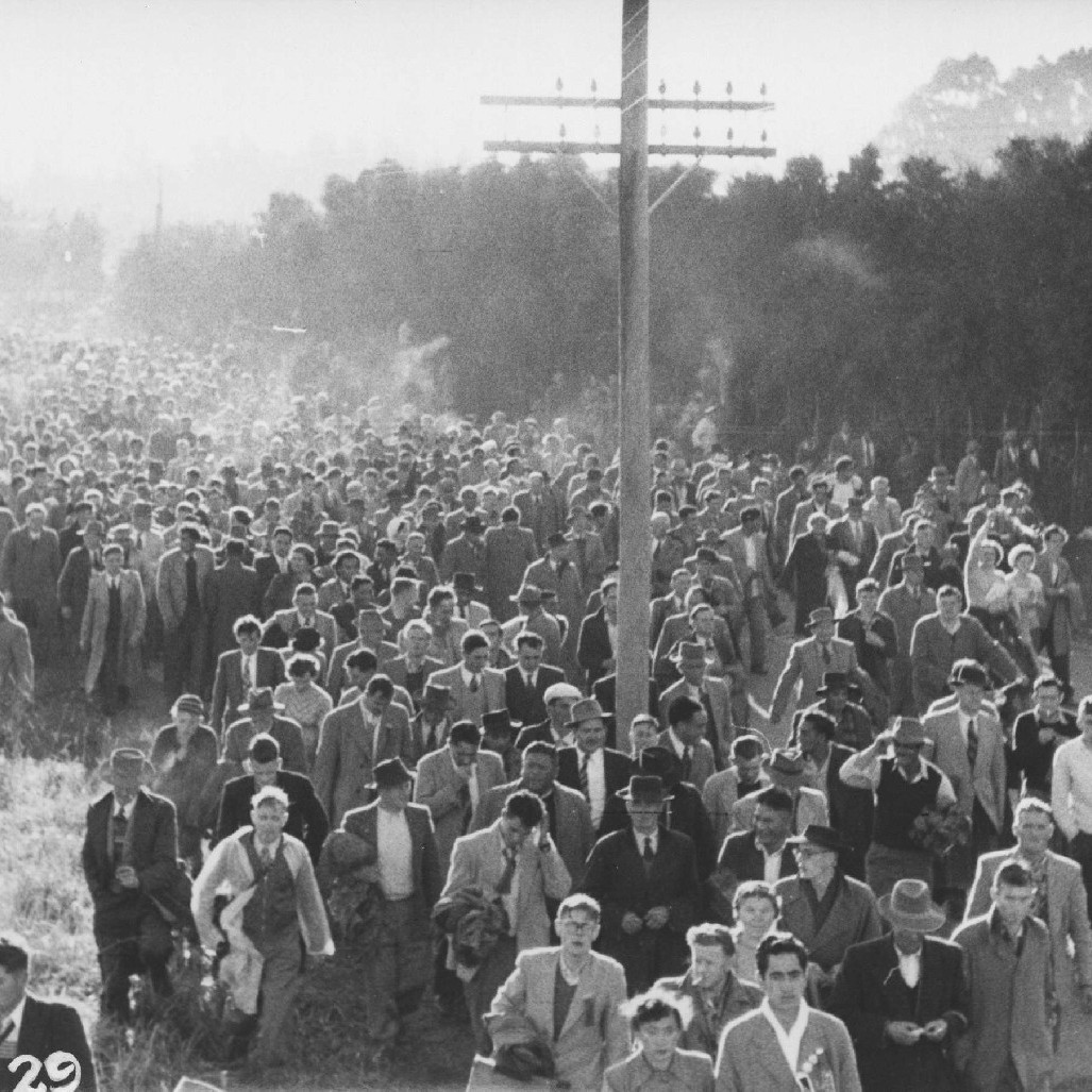 Historical Photos of Waikato Rugby