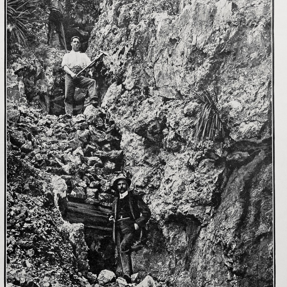 Te Aroha Gold mining archive