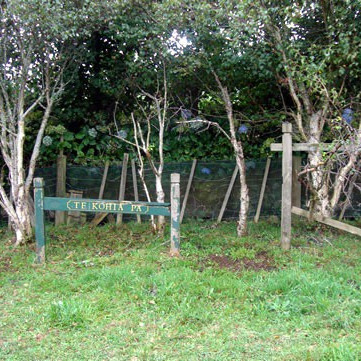 Fighting begins at Te Kohia 