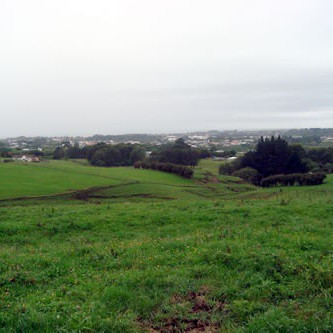Battle of Puketakauere