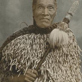 Mohi Tūrei