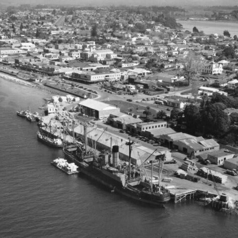 Tauranga