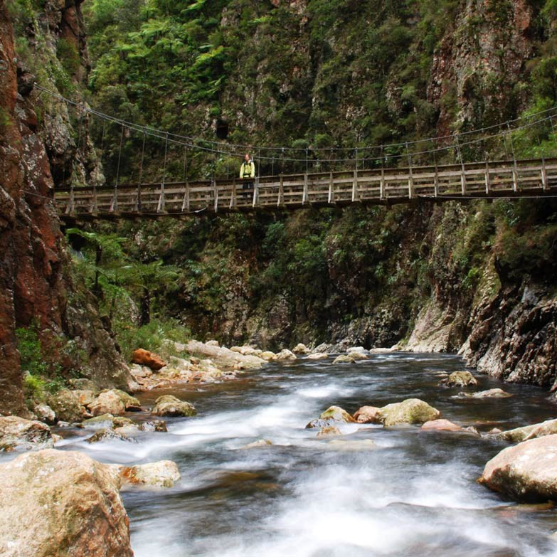 Karangahake